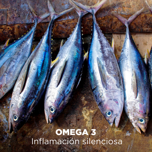 Omega 3, Inflamación silenciosa y disfunciones orgánicas