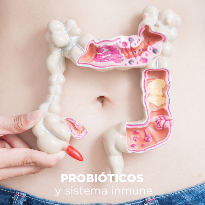 Probióticos y Sistema inmune