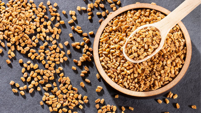 Semillas de fenogreco ricas en saponinas naturales.