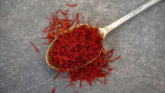 Cuchara con hebras de azafrán natural sobre fondo gris, mostrando los característicos estigmas rojos de la flor Crocus sativus.