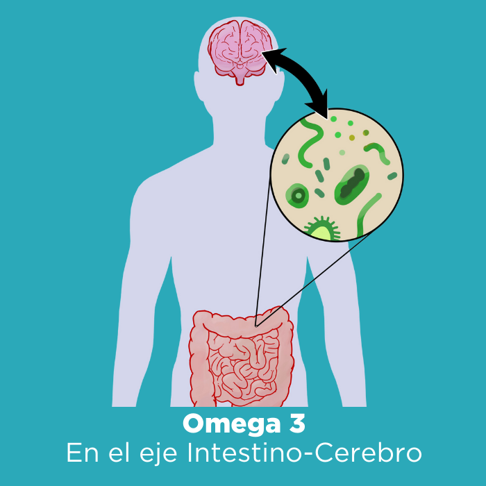 Omega 3, eje intestino cerebro
