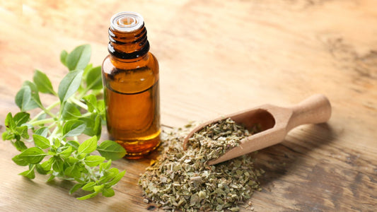 Aceite de orégano, orégano natural y deshidratado 
