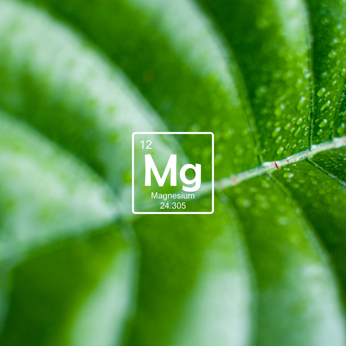 magnesio