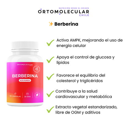 Berberina 500 mg-60 cáps