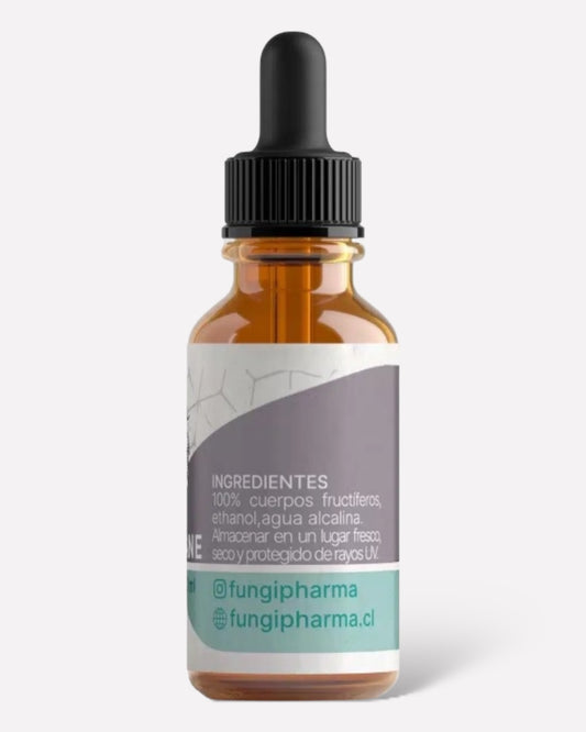 Reverso de frasco de vidrio con gotero de Melena de león en formato líquido, 30 ml, con especificación de ingredientes, Ortomolecular Chile 
