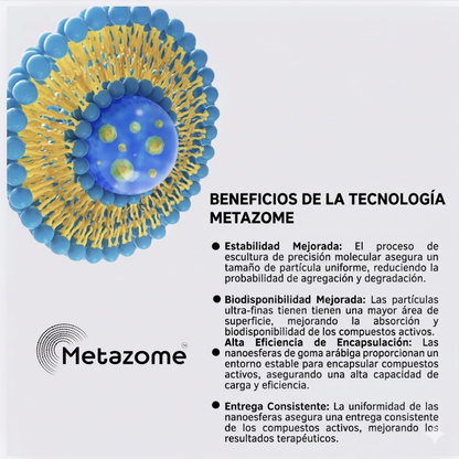Tecnologia liposomal metazome, clinicamente comprobado y patentado