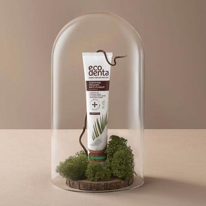 pasta dental organica de coco, blanquedor natural, aliento fresco, previene la formacion de placa, aceite de coco, vegano, sin fluor, origen natural